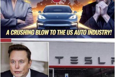 🚨 GLOBAL SHOCKWAVE: Germany Moves to Shut Down Tesla & U.S. Auto Industry—Elon Musk’s 7-Word Response Sends Internet into Frenzy, Unveiling a Hidden Truth That No One Saw Coming! 🚨